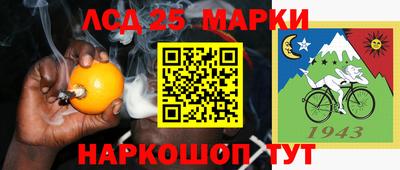 прущие грибы Усть-Джегута