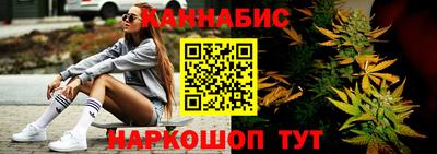 прущие грибы Усть-Джегута