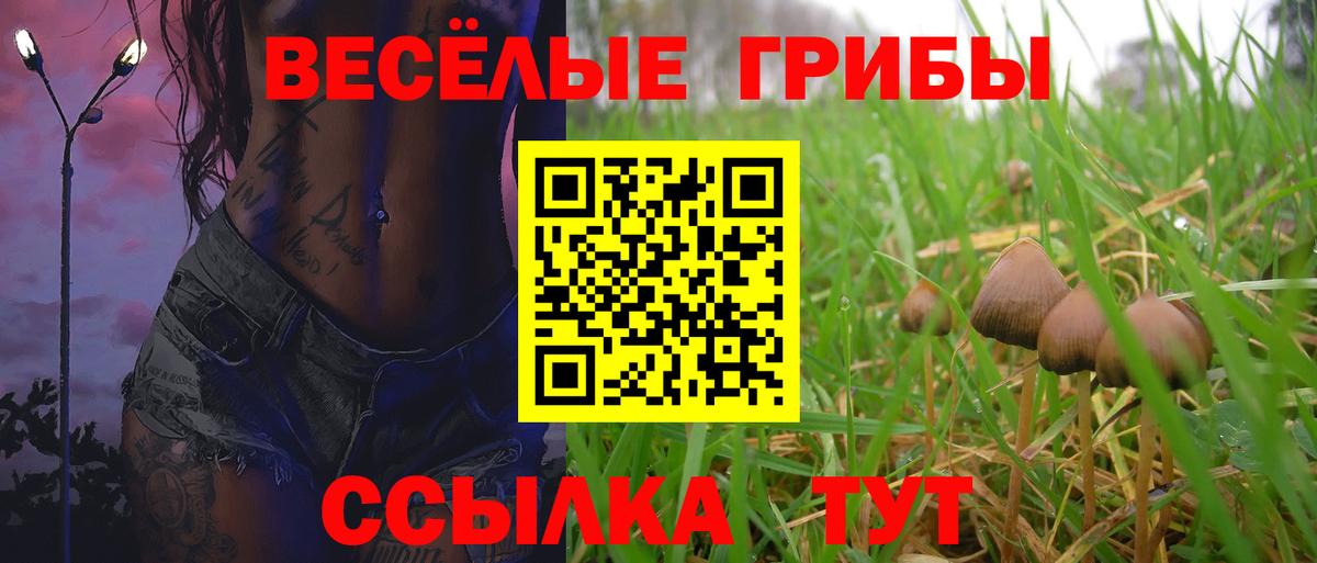 Псилоцибиновые грибы Cubensis Татарск